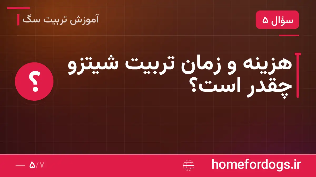 هزینه و زمان تربیت شیتزو چقدر است؟