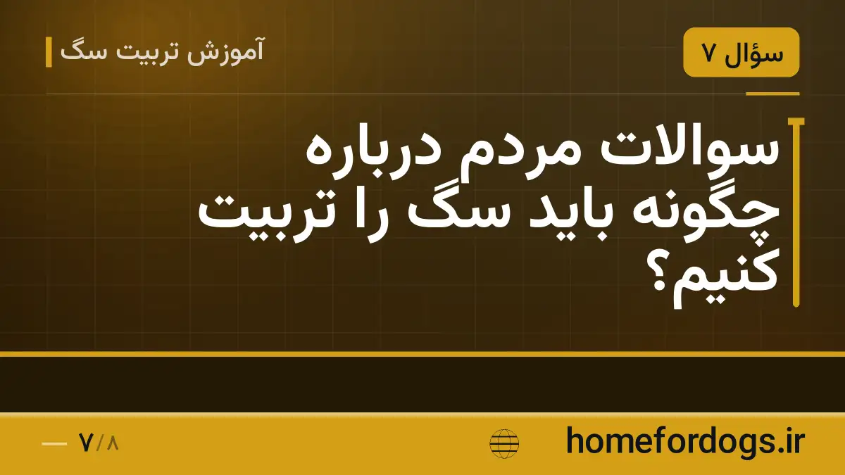 سوالات مردم درباره چگونه باید سگ را تربیت کنیم؟