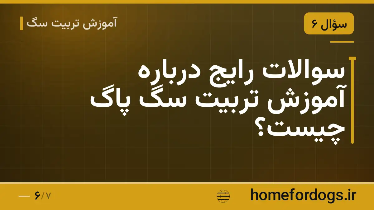 سوالات رایج درباره آموزش تربیت سگ پاگ چیست؟