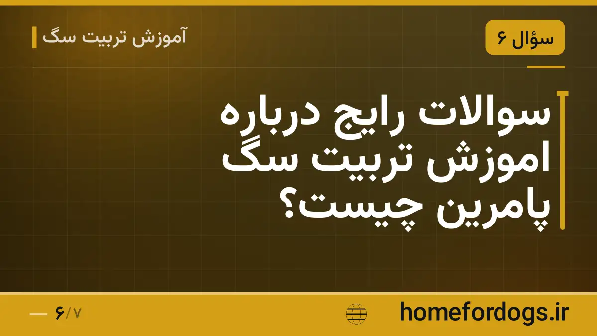سوالات رایج درباره اموزش تربیت سگ پامرین چیست؟