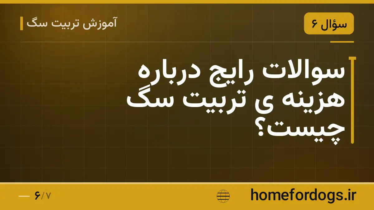 سوالات رایج درباره هزینه ی تربیت سگ چیست؟