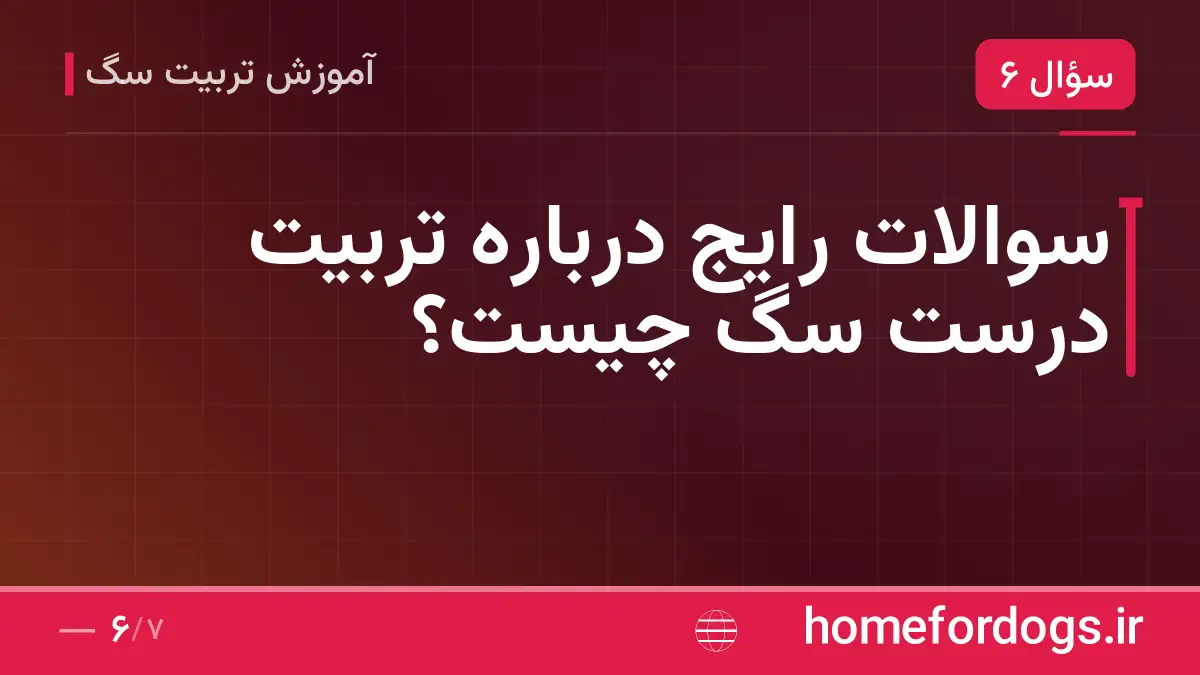 سوالات رایج درباره تربیت درست سگ چیست؟