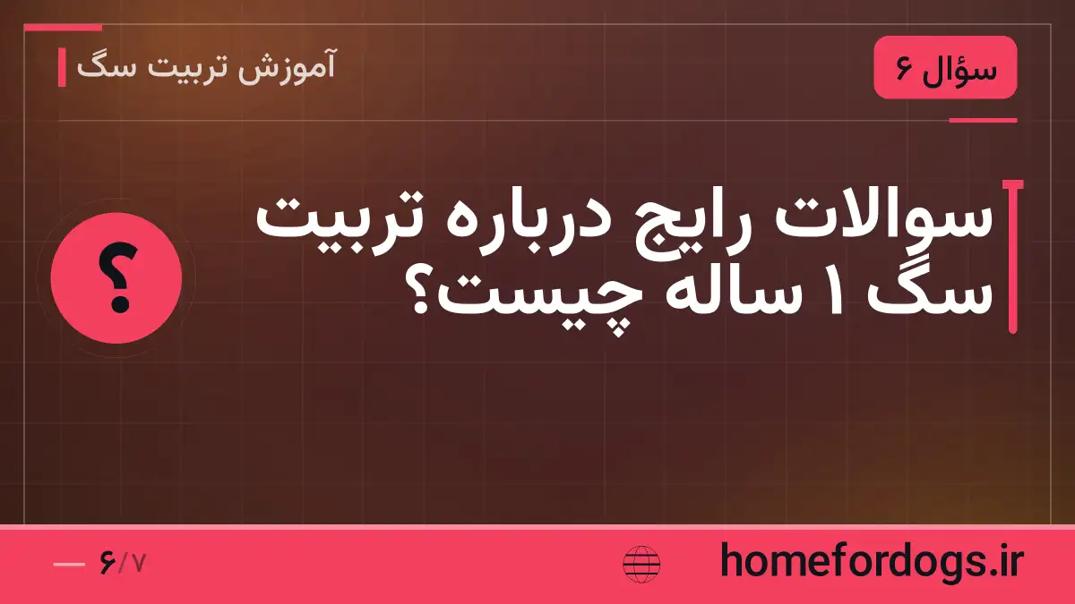 سوالات رایج درباره تربیت سگ 1 ساله چیست؟