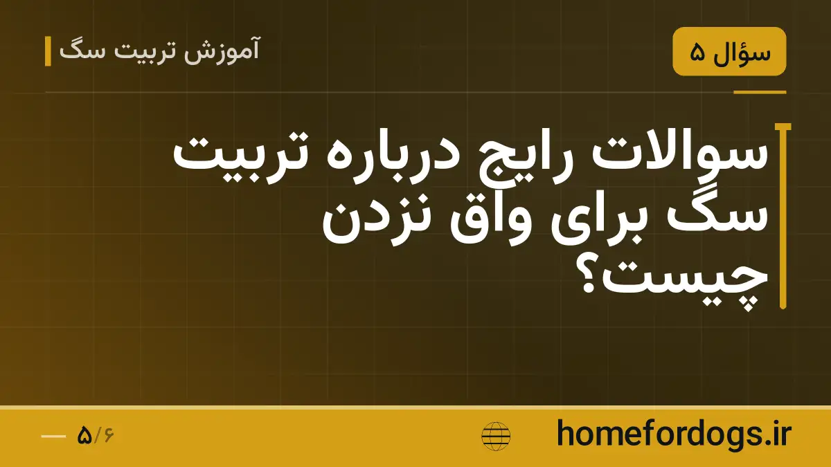 سوالات رایج درباره تربیت سگ برای واق نزدن چیست؟