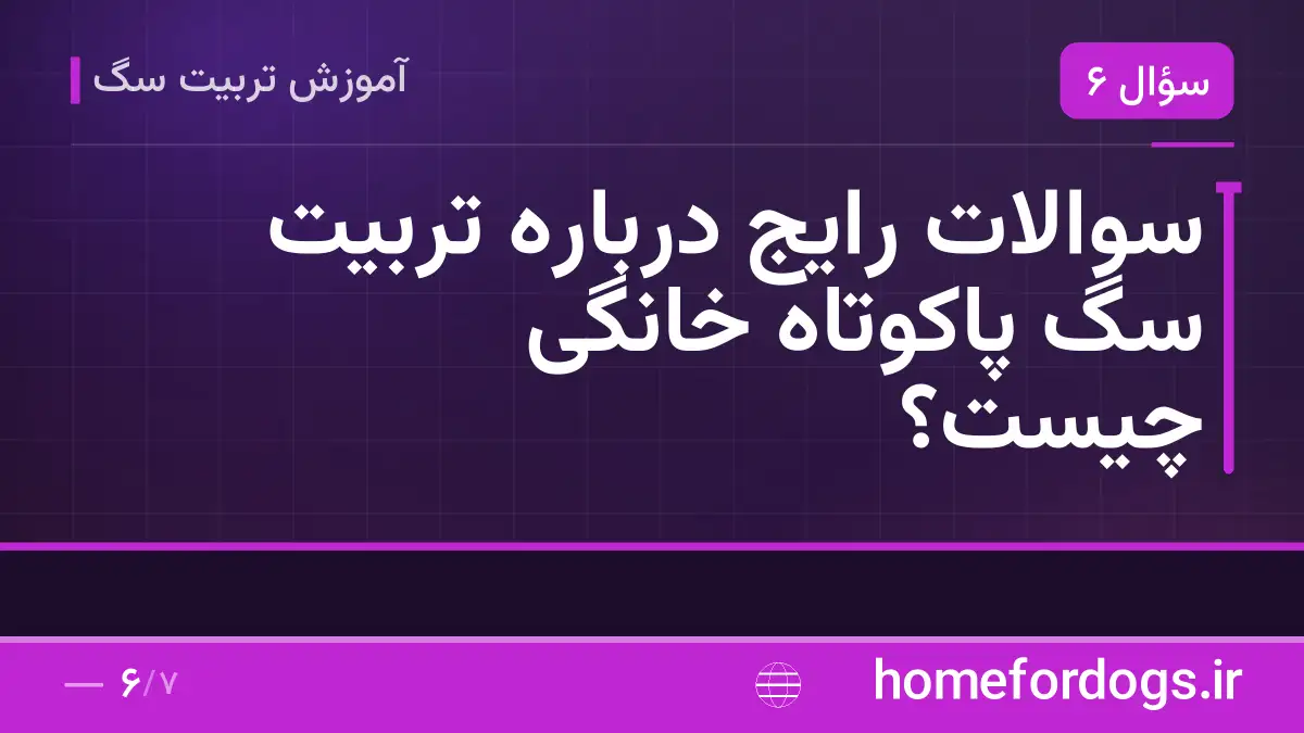 سوالات رایج درباره تربیت سگ پاکوتاه خانگی چیست؟