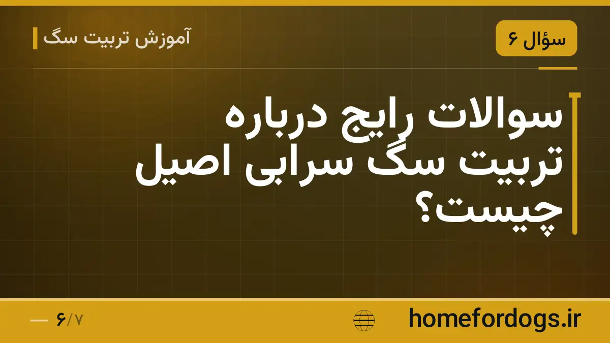 سوالات رایج درباره تربیت سگ سرابی اصیل چیست؟