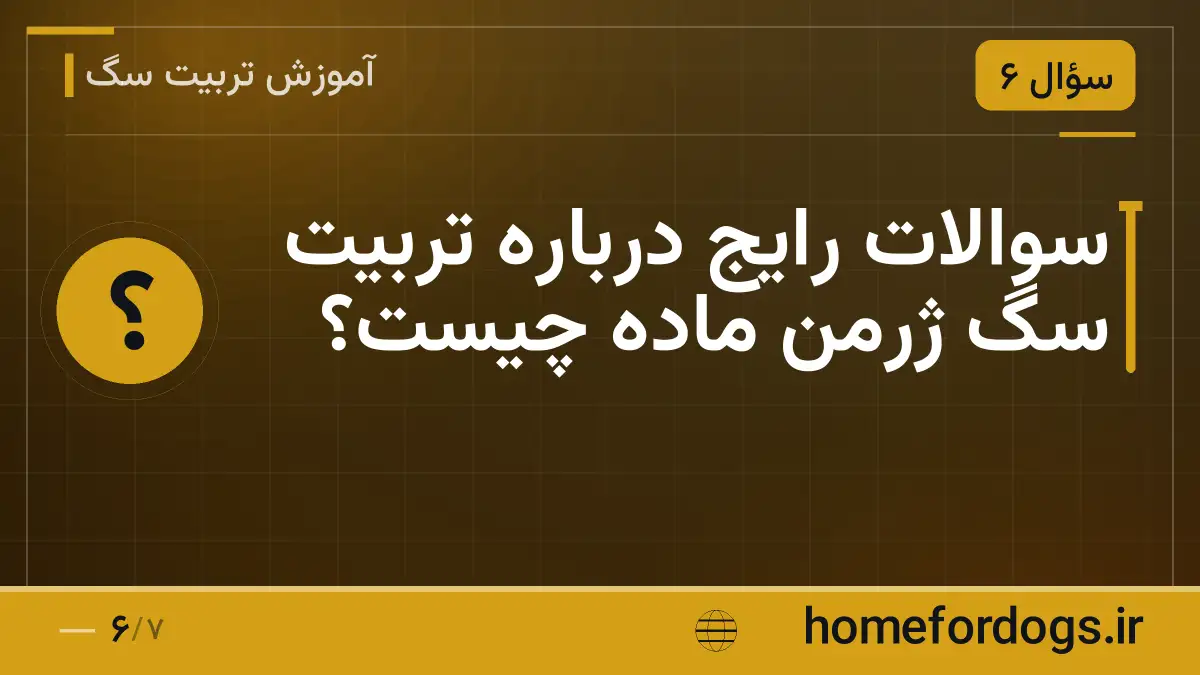 سوالات رایج درباره تربیت سگ ژرمن ماده چیست؟