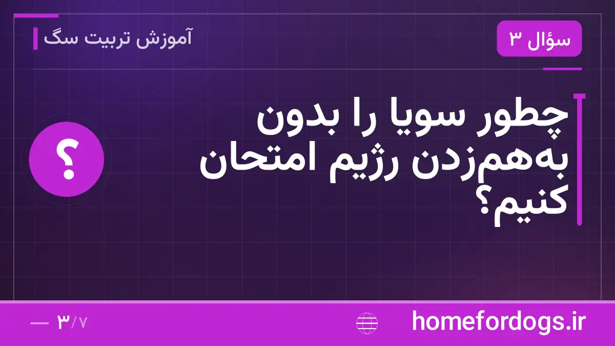 چطور سویا را بدون به‌هم‌زدن رژیم امتحان کنیم؟