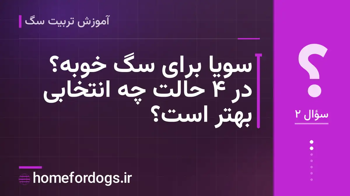 سویا برای سگ خوبه؟ در ۴ حالت چه انتخابی بهتر است؟