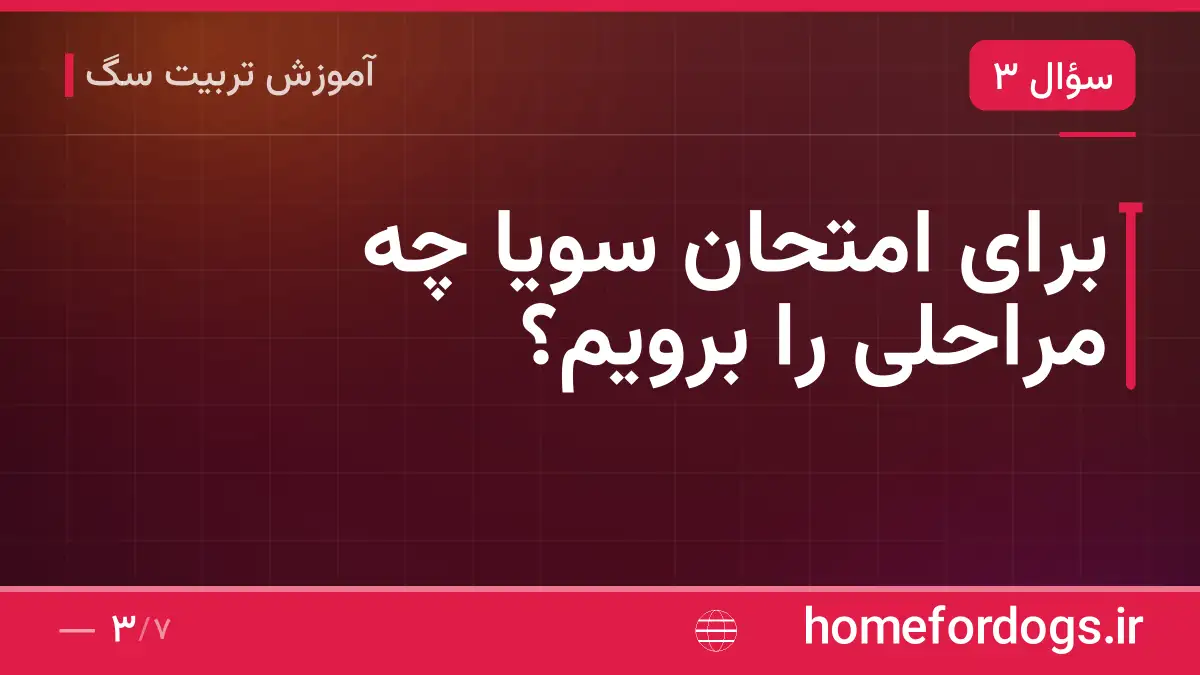 برای امتحان سویا چه مراحلی را برویم؟