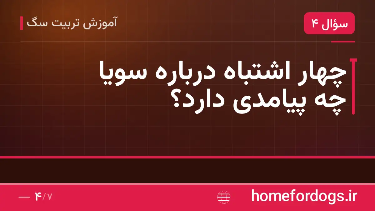 چهار اشتباه درباره سویا چه پیامدی دارد؟
