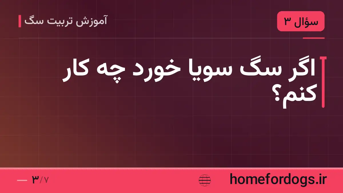 اگر سگ سویا خورد چه کار کنم؟