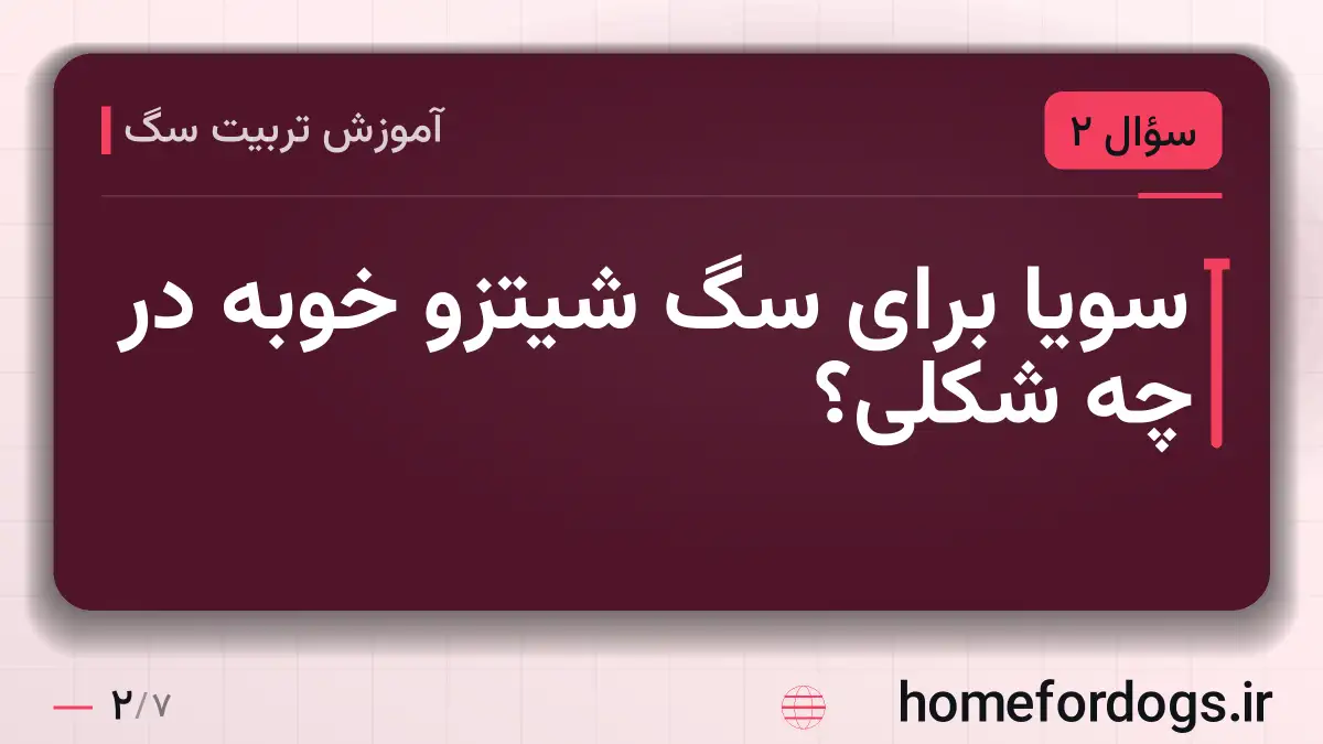 سویا برای سگ شیتزو خوبه در چه شکلی؟