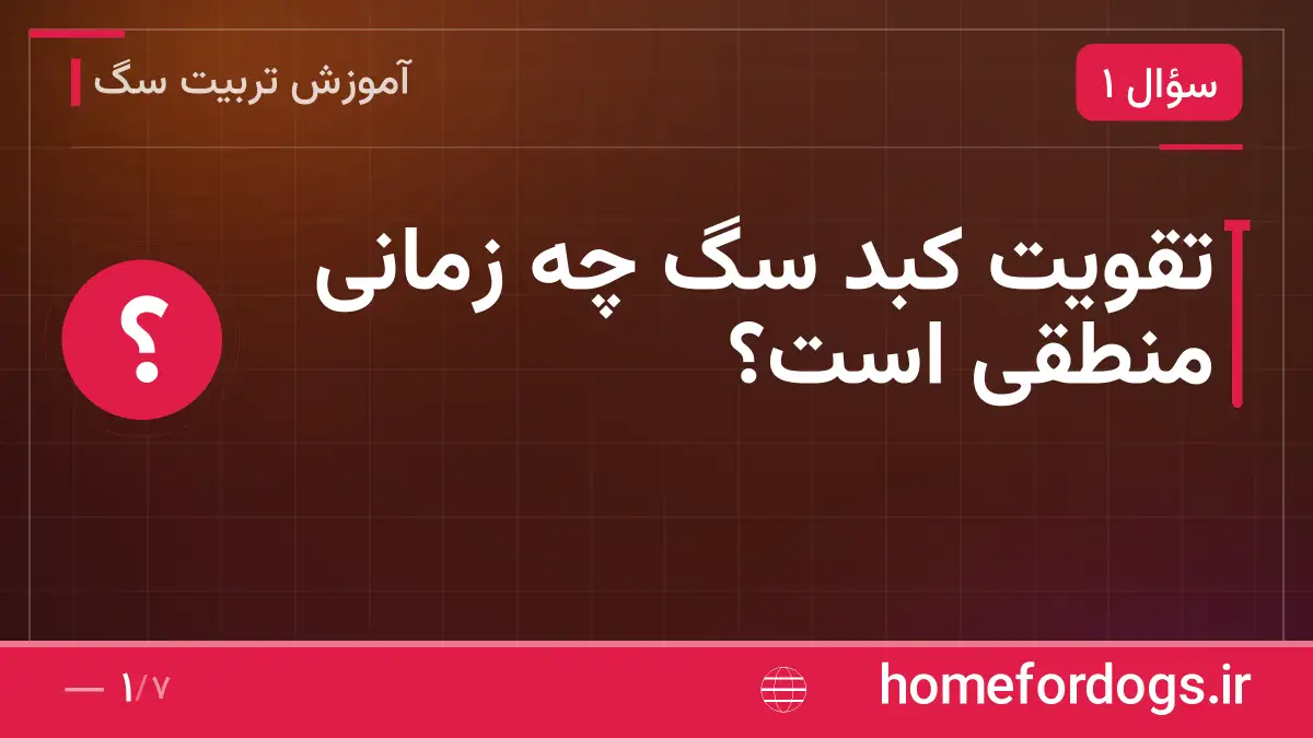 تقویت کبد سگ چه زمانی منطقی است؟