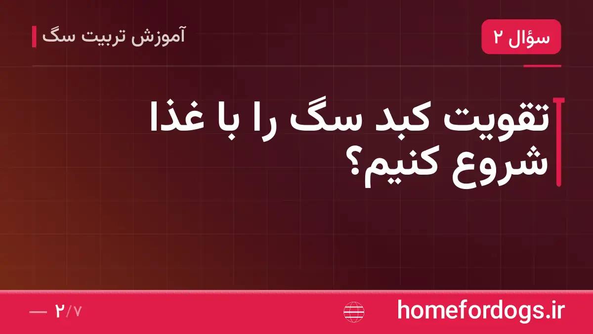 تقویت کبد سگ را با غذا شروع کنیم؟