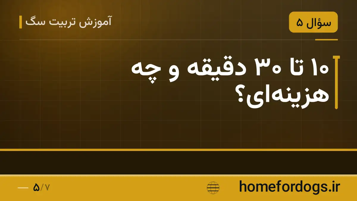 ۱۰ تا ۳۰ دقیقه و چه هزینه‌ای؟