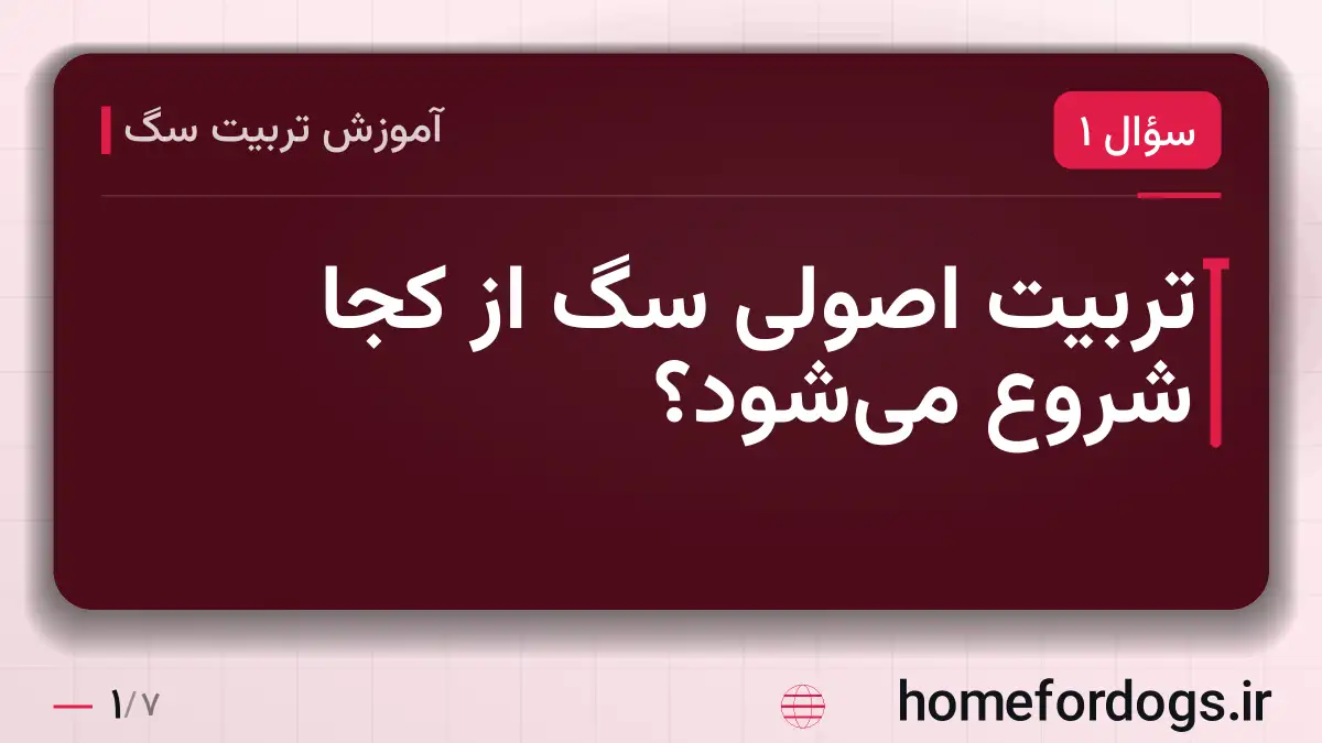 تربیت اصولی سگ از کجا شروع میشود؟