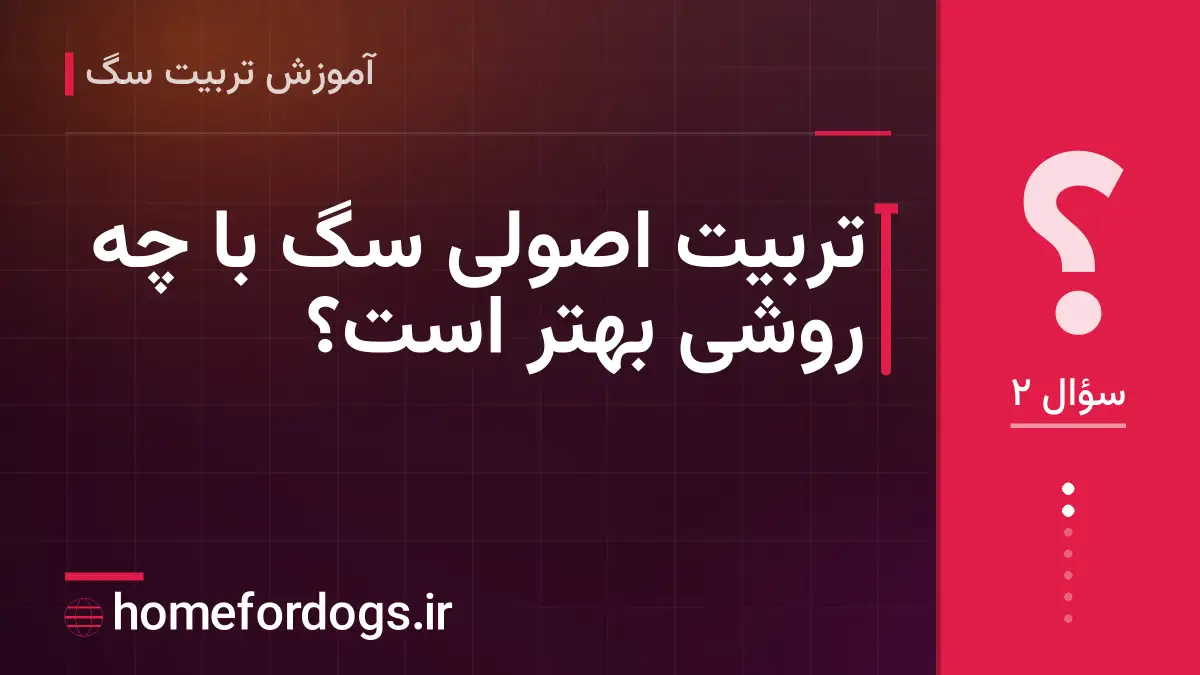 تربیت اصولی سگ با چه روشی بهتر است؟
