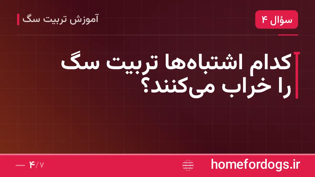کدام اشتباهها تربیت سگ را خراب میکنند؟