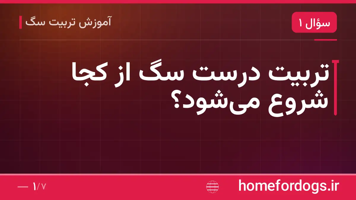 تربیت درست سگ از کجا شروع میشود؟
