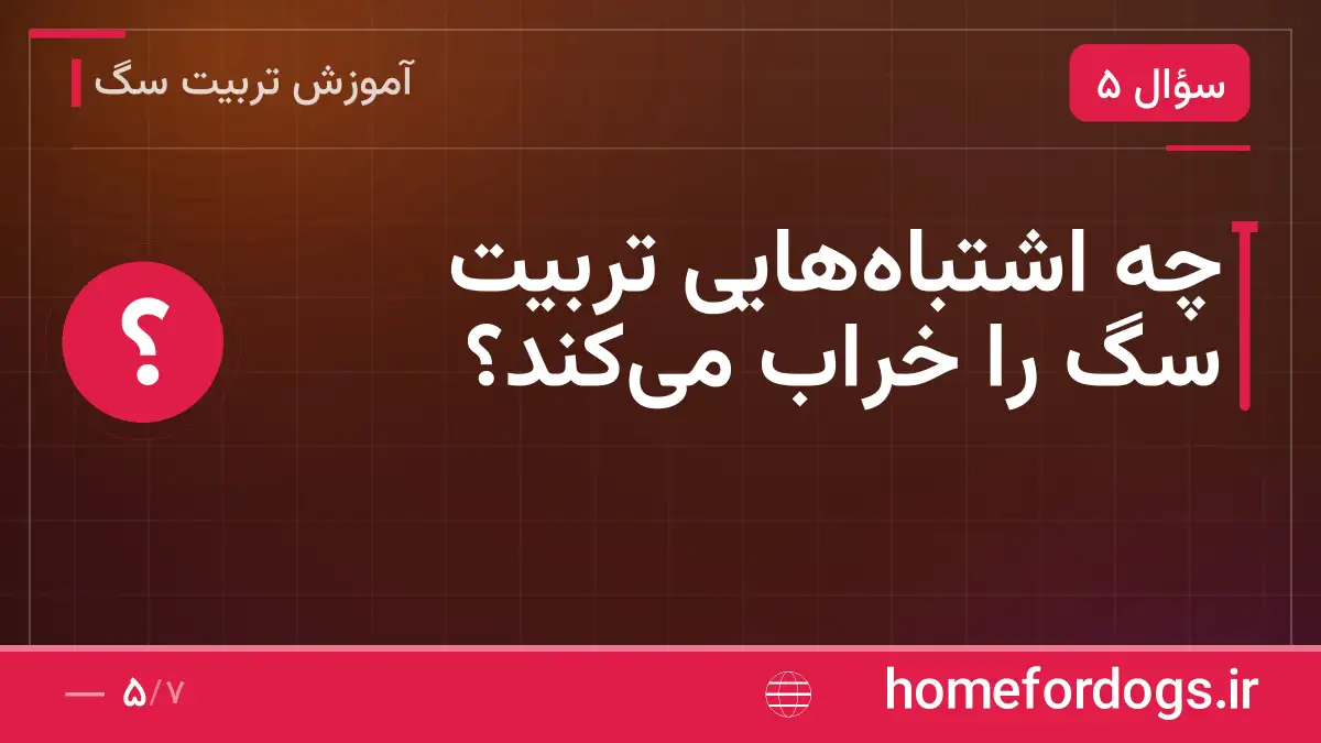 چه اشتباههایی تربیت سگ را خراب میکند؟