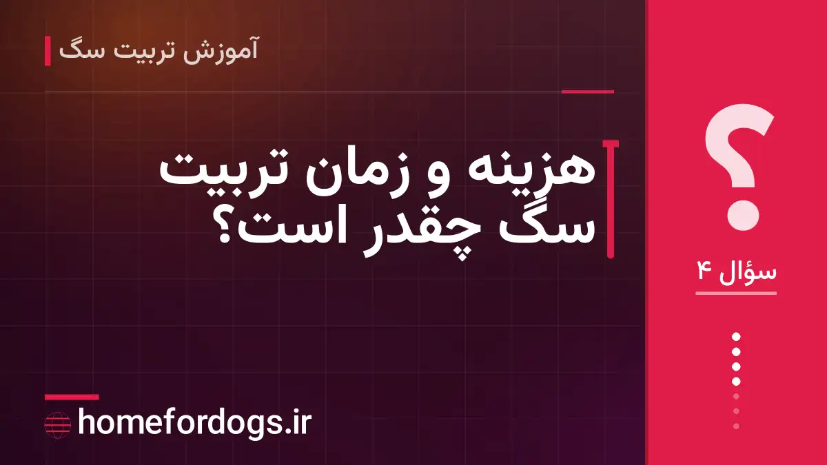 هزینه و زمان تربیت سگ چقدر است؟