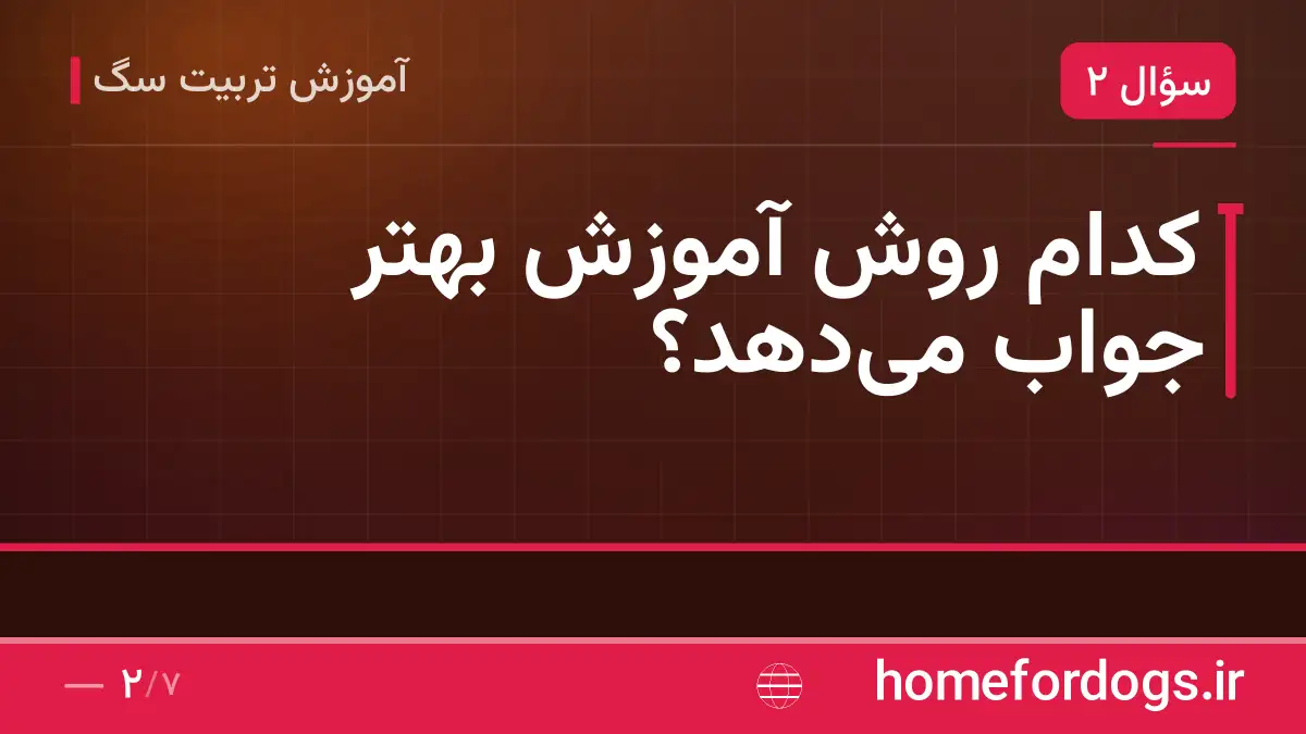کدام روش آموزش بهتر جواب میدهد؟