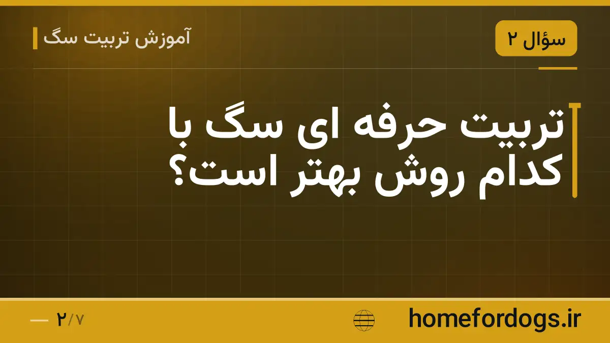 تربیت حرفه ای سگ با کدام روش بهتر است؟