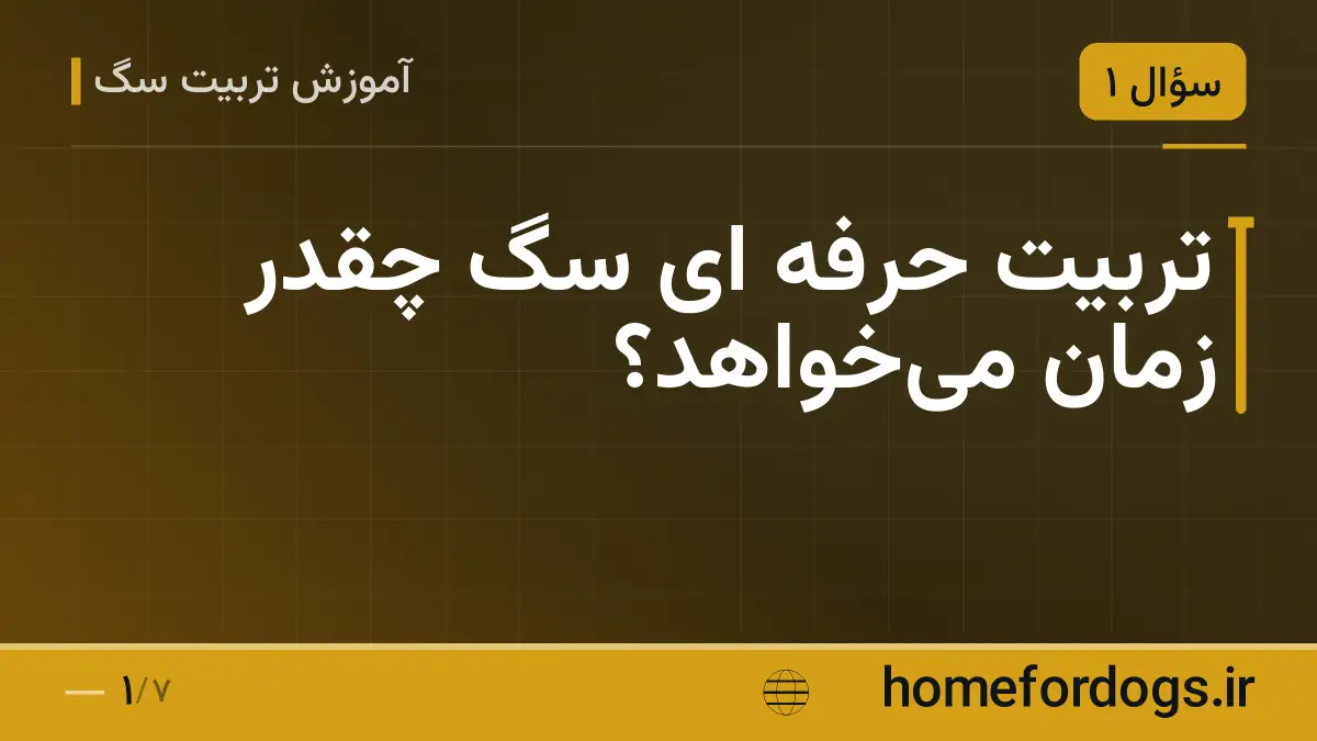 تربیت حرفه ای سگ چقدر زمان می‌خواهد؟