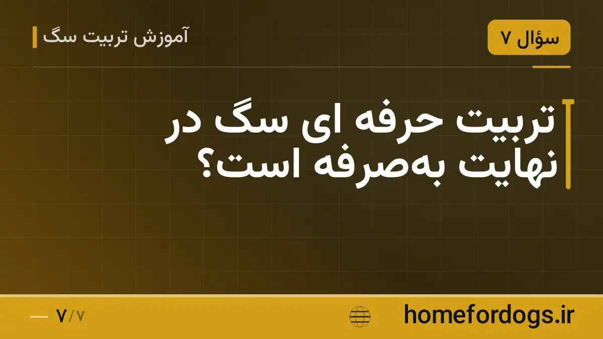 تربیت حرفه ای سگ در نهایت به‌صرفه است؟