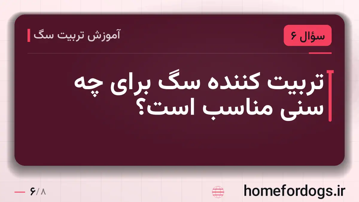 تربیت کننده سگ برای چه سنی مناسب است؟
