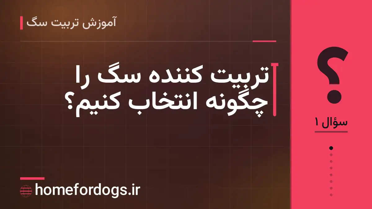 تربیت کننده سگ را چگونه انتخاب کنیم؟