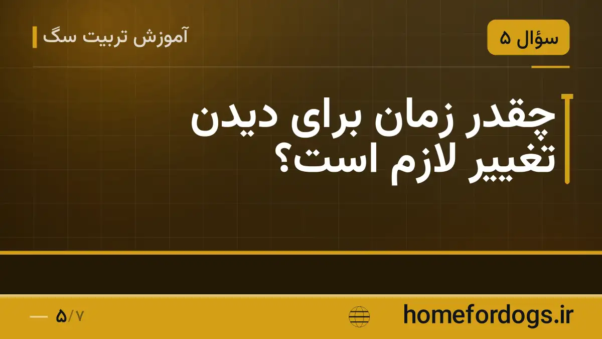 چقدر زمان برای دیدن تغییر لازم است؟
