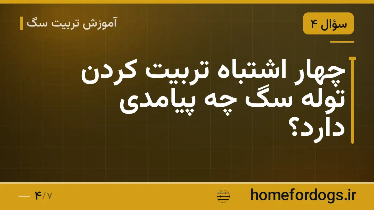 چهار اشتباه تربیت کردن توله سگ چه پیامدی دارد؟