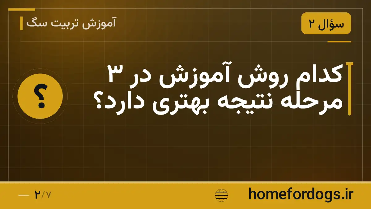 کدام روش آموزش در ۳ مرحله نتیجه بهتری دارد؟