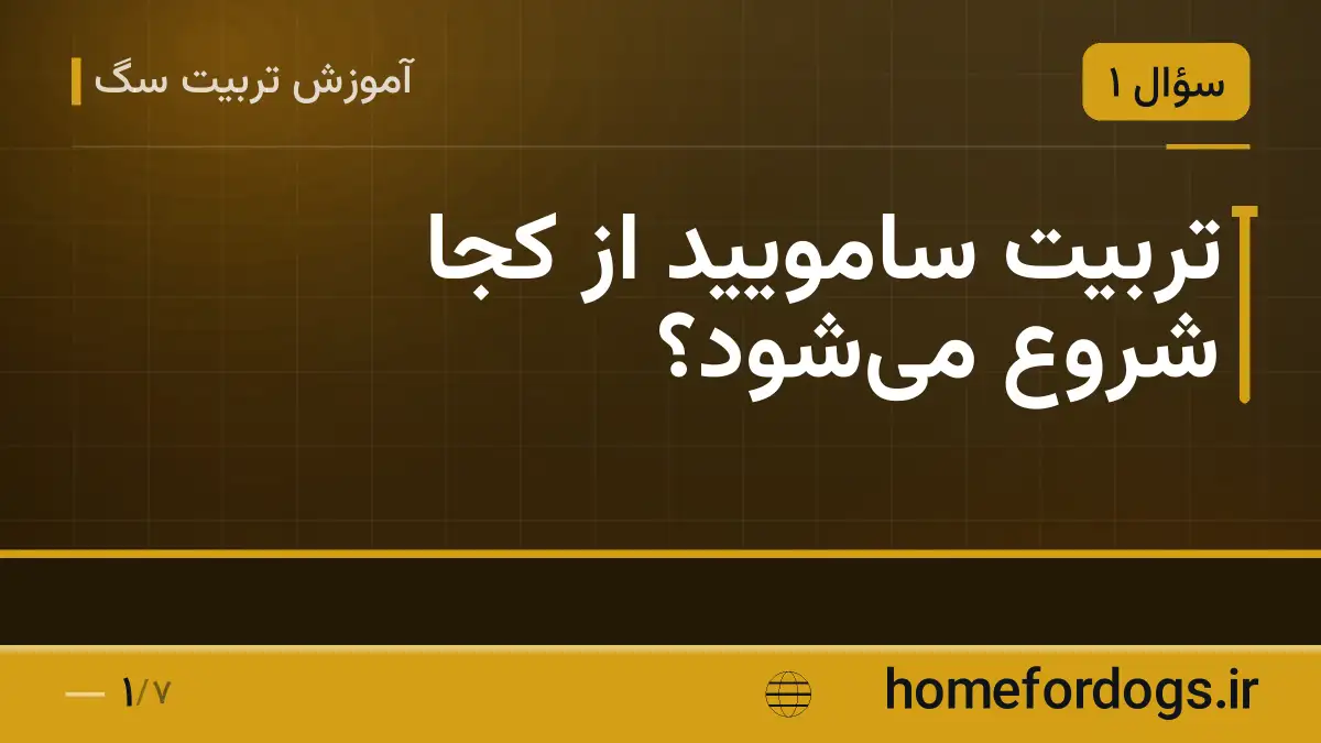 تربیت سامویید از کجا شروع می‌شود؟