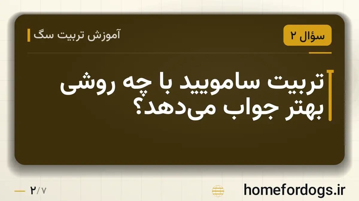 تربیت سامویید با چه روشی بهتر جواب می‌دهد؟
