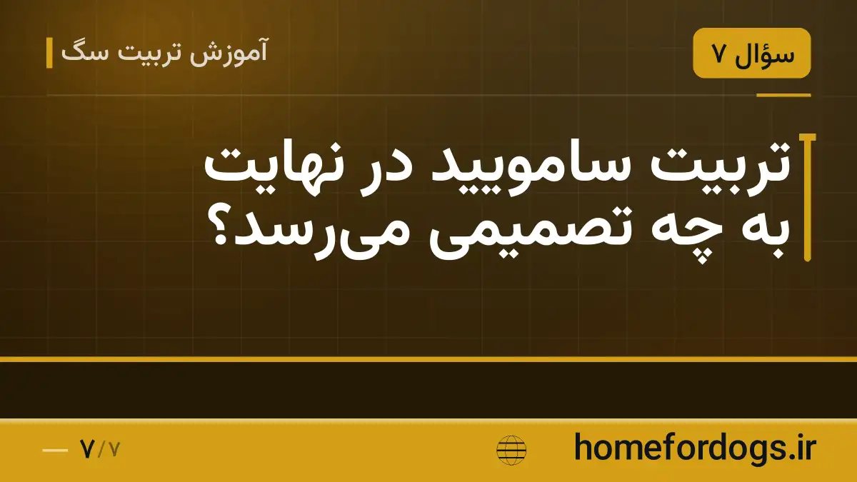 تربیت سامویید در نهایت به چه تصمیمی می‌رسد؟