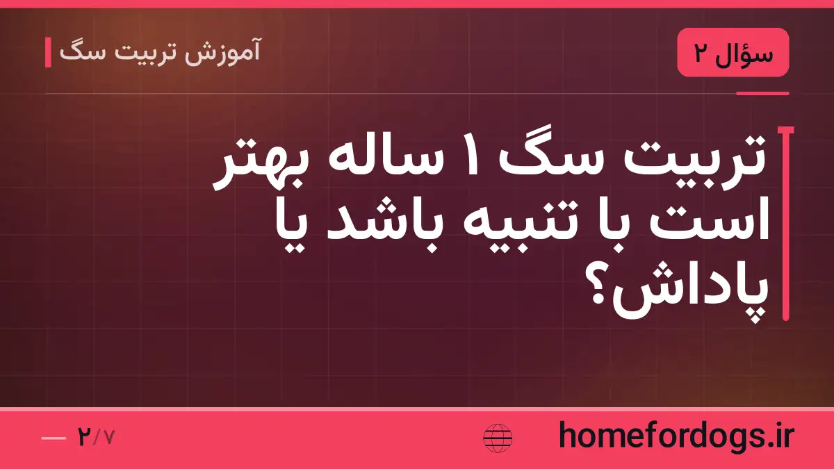 تربیت سگ 1 ساله بهتر است با تنبیه باشد یا پاداش؟