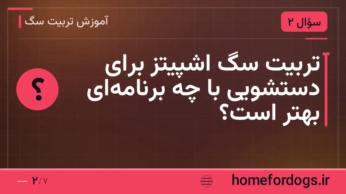 تربیت سگ اشپیتز برای دستشویی با چه برنامه‌ای بهتر است؟
