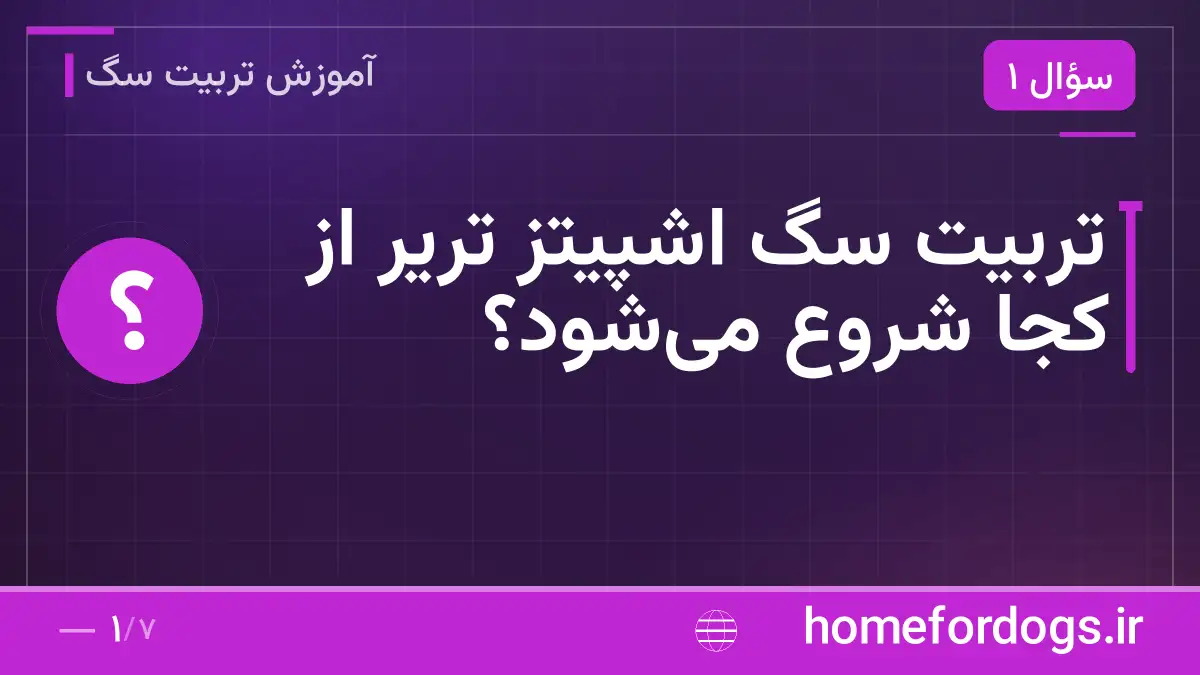 تربیت سگ اشپیتز تریر از کجا شروع می‌شود؟