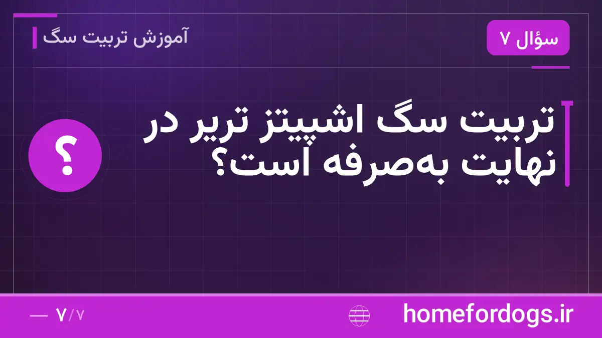تربیت سگ اشپیتز تریر در نهایت به‌صرفه است؟