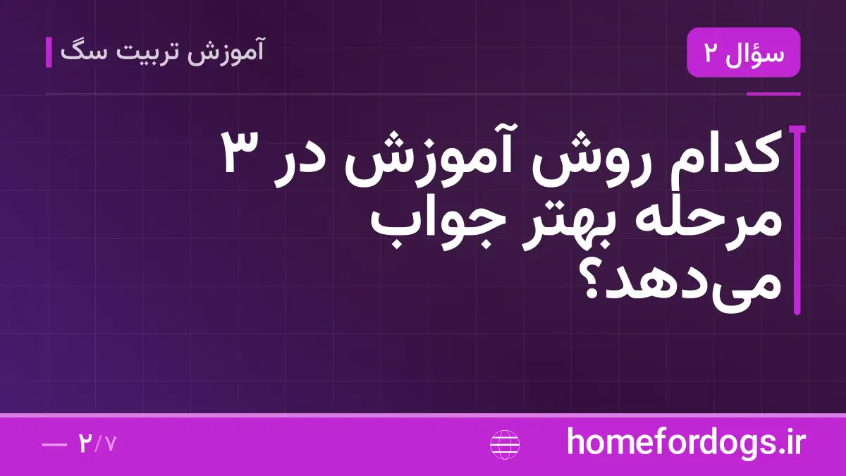 کدام روش آموزش در ۳ مرحله بهتر جواب می‌دهد؟