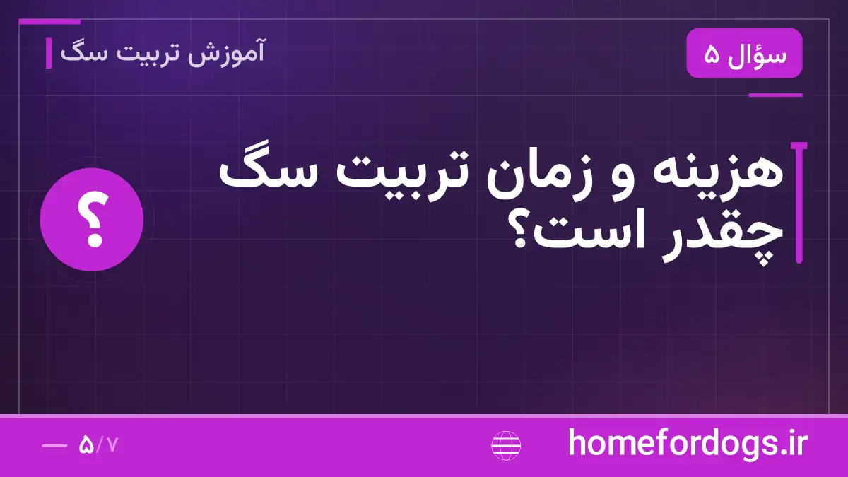 هزینه و زمان تربیت سگ چقدر است؟