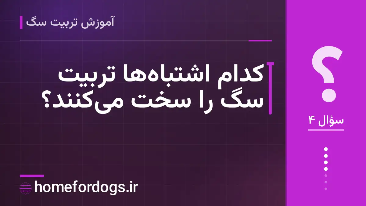 کدام اشتباه‌ها تربیت سگ را سخت می‌کنند؟