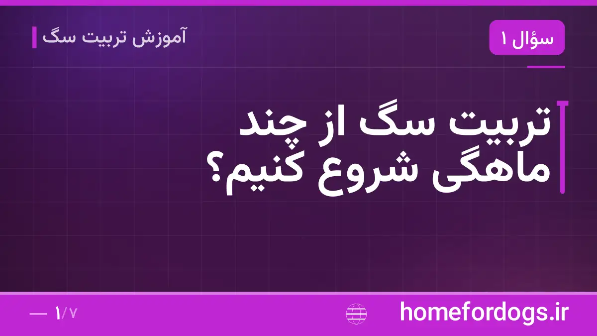 تربیت سگ از چند ماهگی شروع کنیم؟