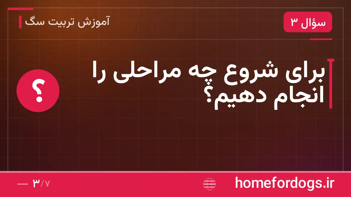 برای شروع چه مراحلی را انجام دهیم؟