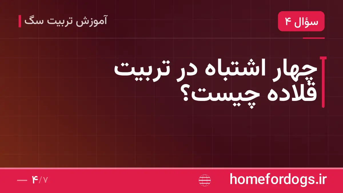 چهار اشتباه در تربیت قلاده چیست؟