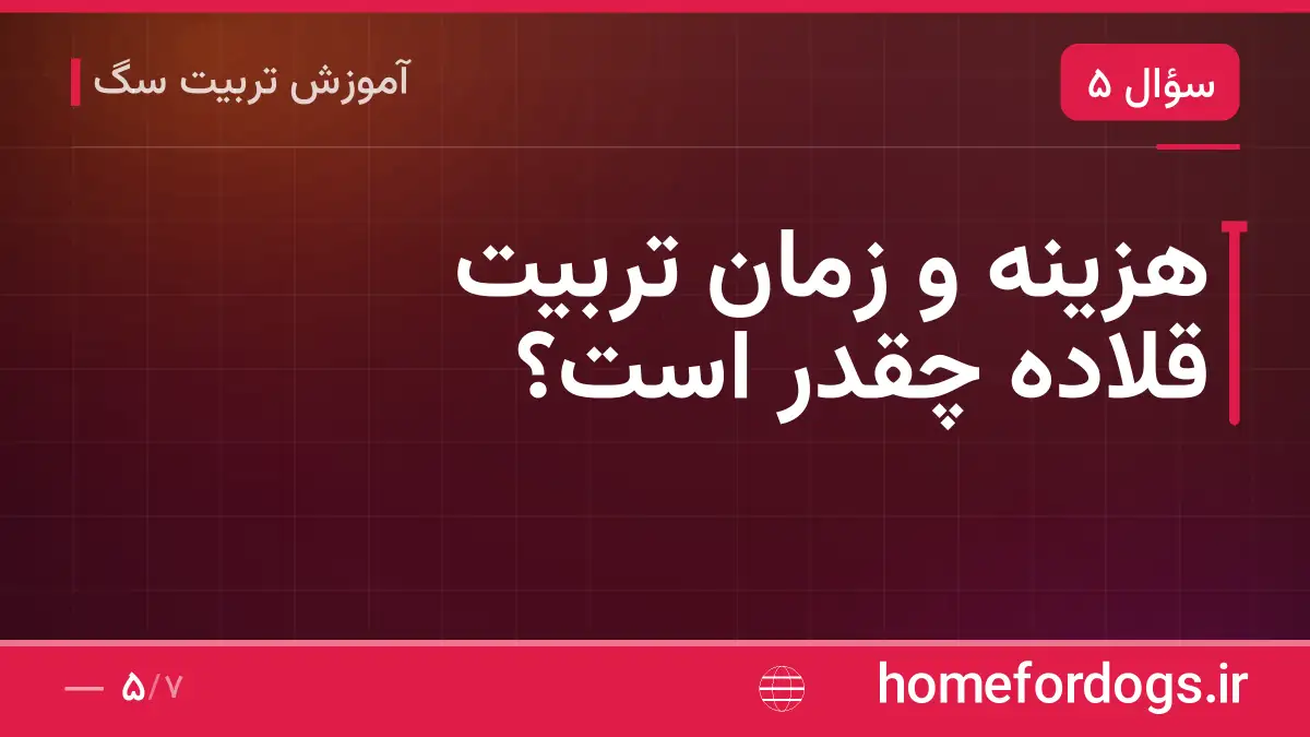 هزینه و زمان تربیت قلاده چقدر است؟