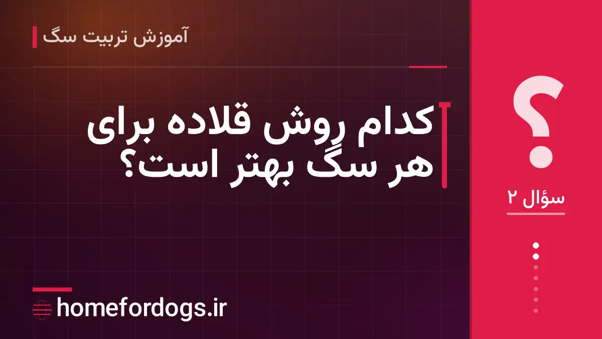 کدام روش قلاده برای هر سگ بهتر است؟